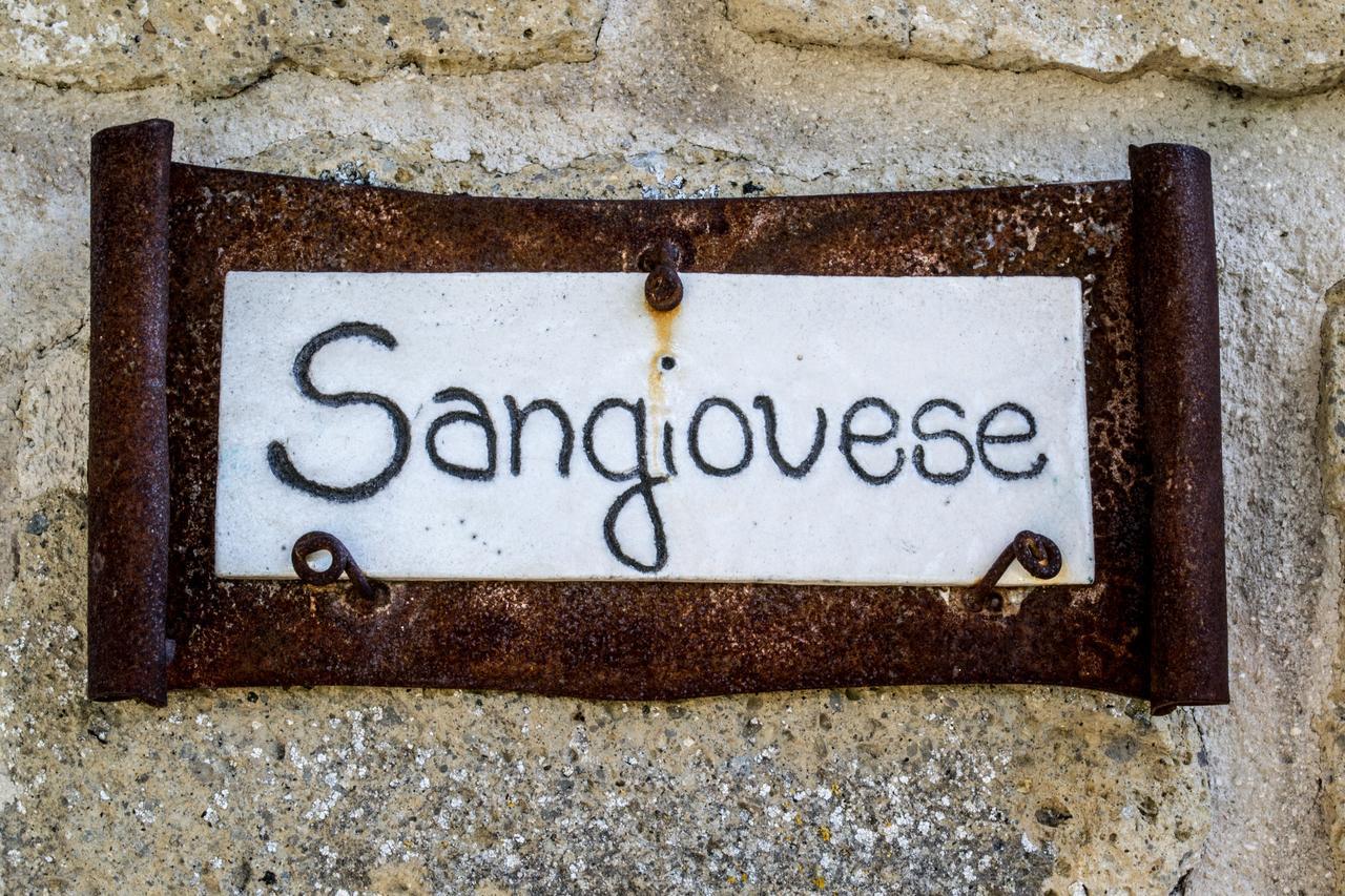 Agriturismo Poggio Delle Conche Pitigliano Ngoại thất bức ảnh
